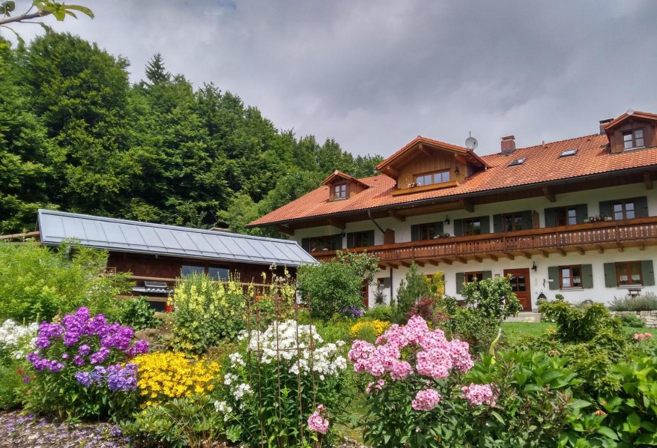 Haus Jaegerfleck, Ihre Ferienwohnungen Am Nationalpark Bayerischer Wald Spiegelau Dış mekan fotoğraf